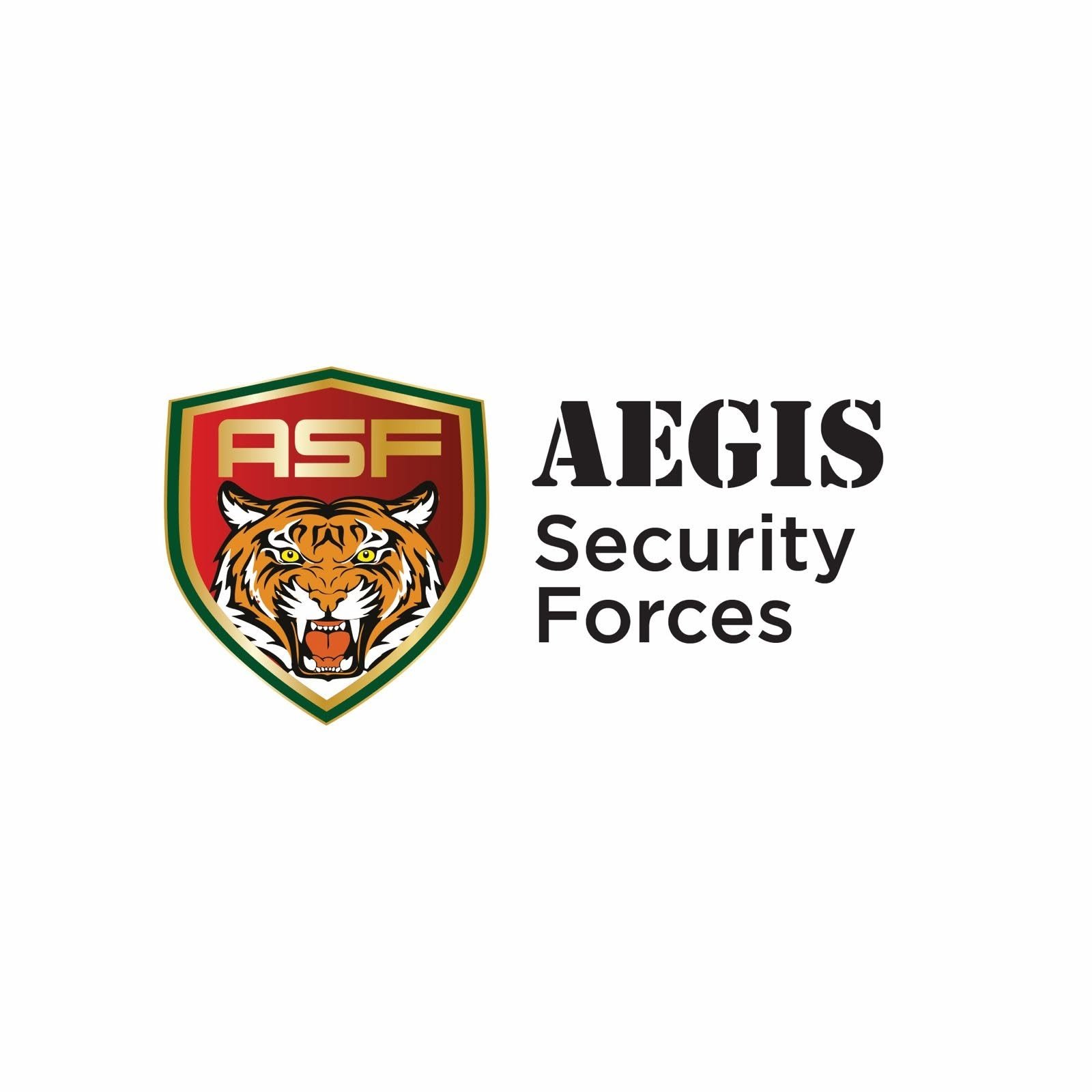 Aegis Security Forces logo